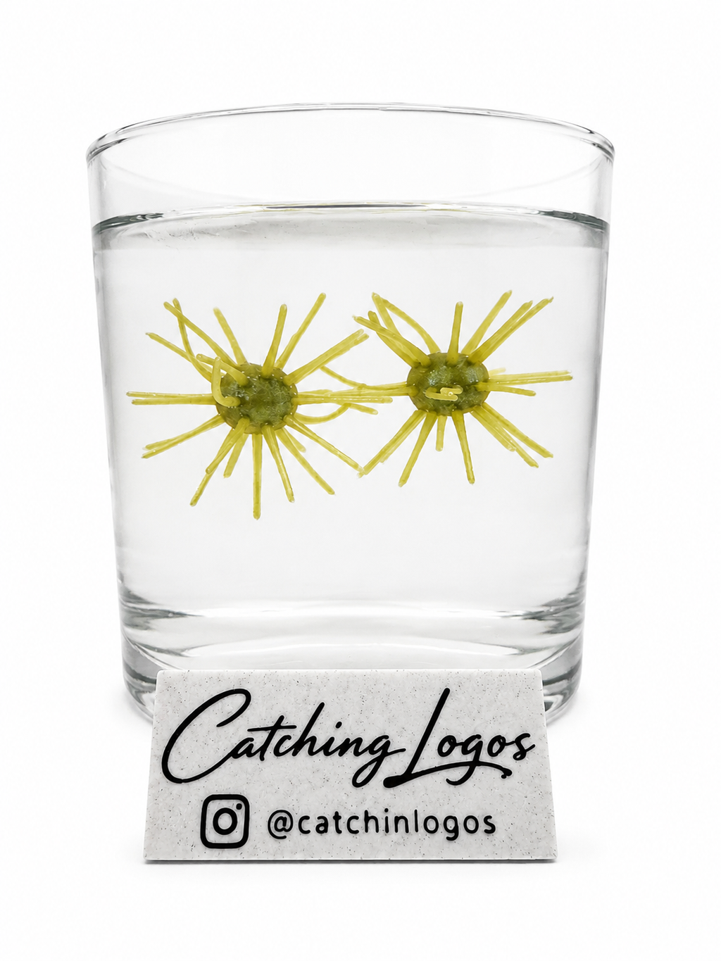 3" Urchin Bait