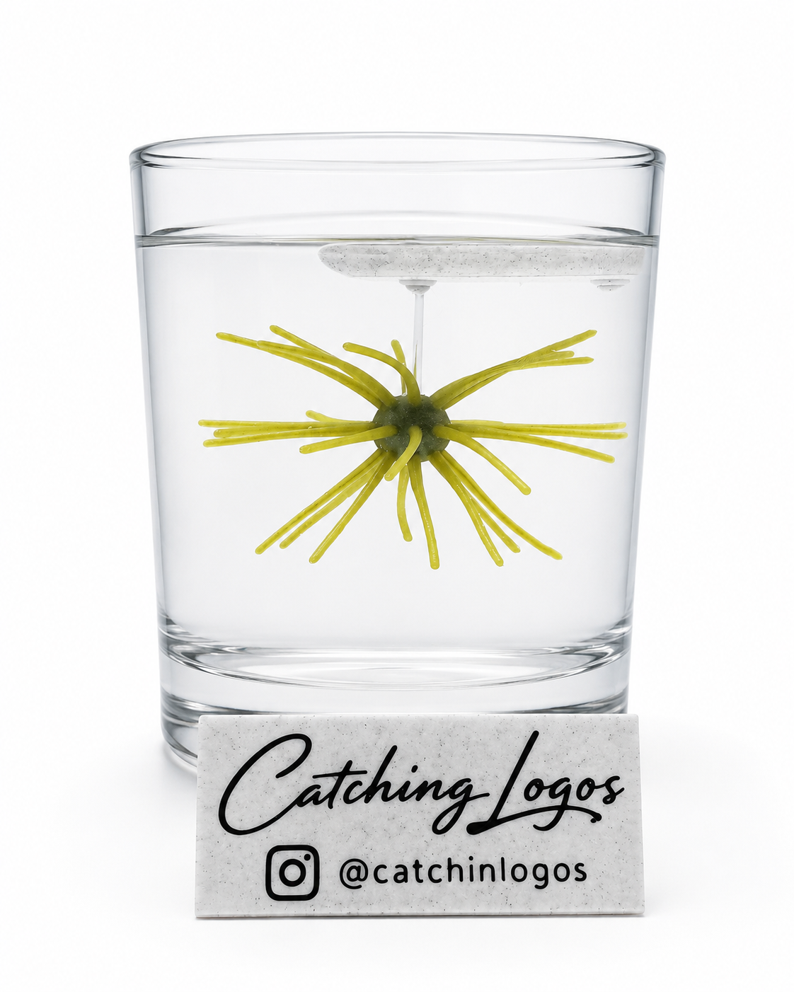 4" Urchin Bait